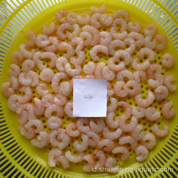 Frozen Peeled Undeveled Argentina Red Pud Shrimp 100200